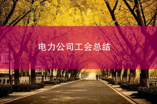 电力公司工会总结