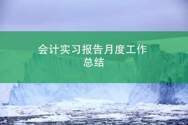 会计实习报告月度工作总结