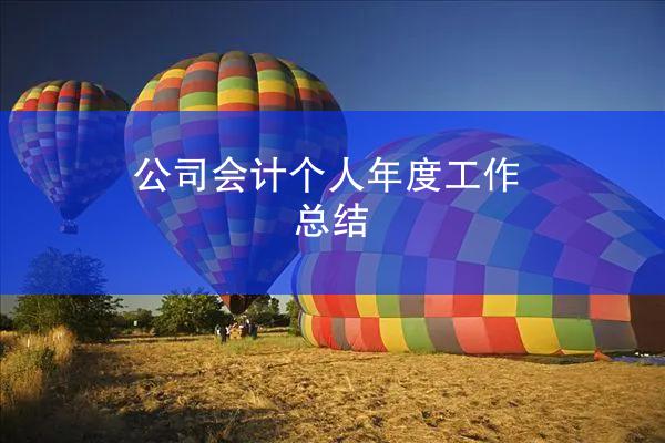 公司会计个人年度工作总结