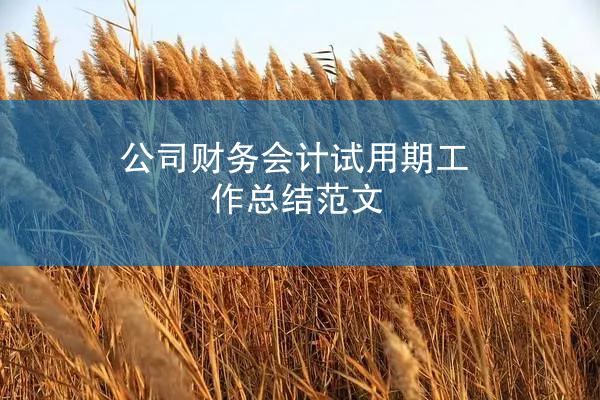 公司财务会计试用期工作总结范文