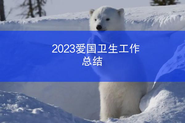 2023爱国卫生工作总结