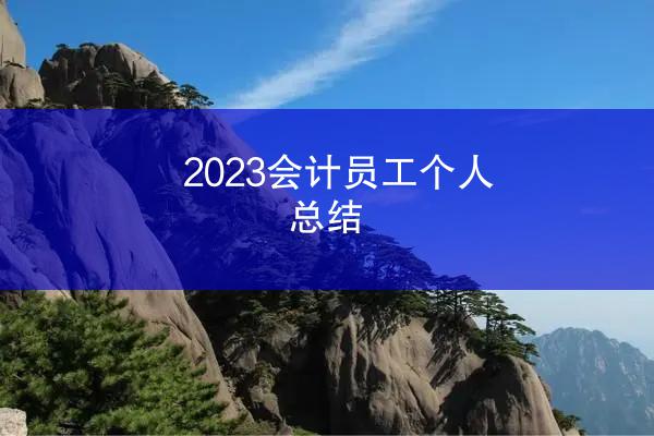 2023会计员工个人总结