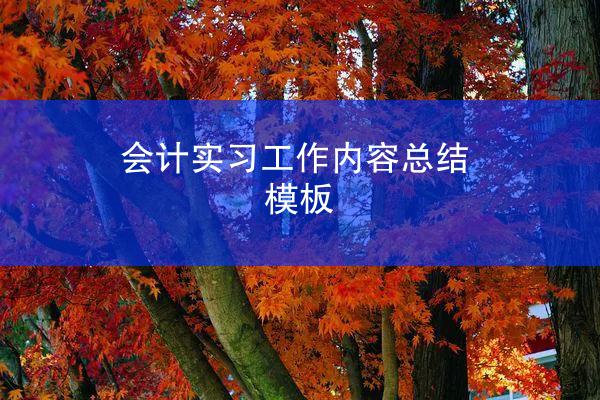 会计实习工作内容总结模板