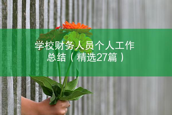 学校财务人员个人工作总结（精选27篇）