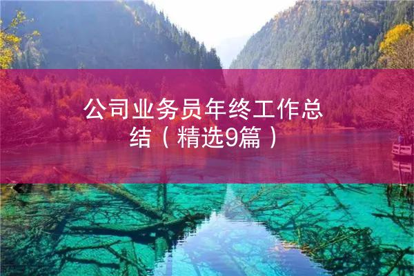 公司业务员年终工作总结（精选9篇）