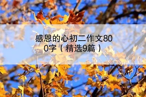 感恩的心初二作文800字（精选9篇）