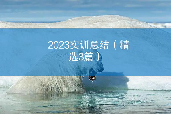 2023实训总结（精选3篇）