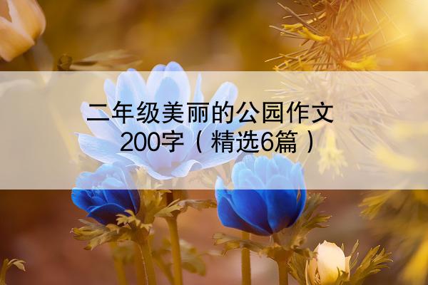 二年级美丽的公园作文200字（精选6篇）