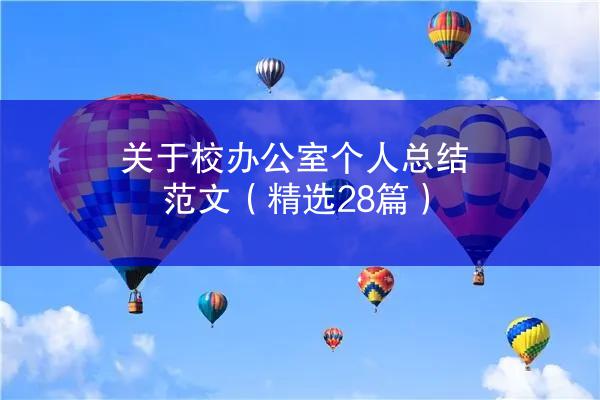 关于校办公室个人总结范文（精选28篇）