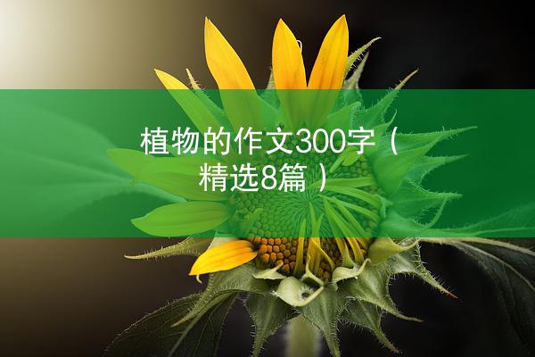 植物的作文300字（精选8篇）