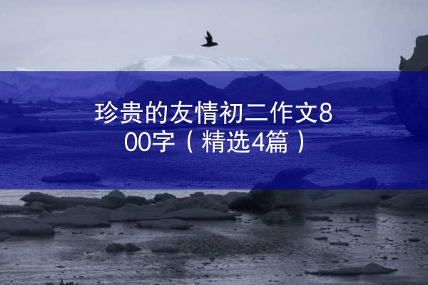 珍贵的友情初二作文800字（精选4篇）