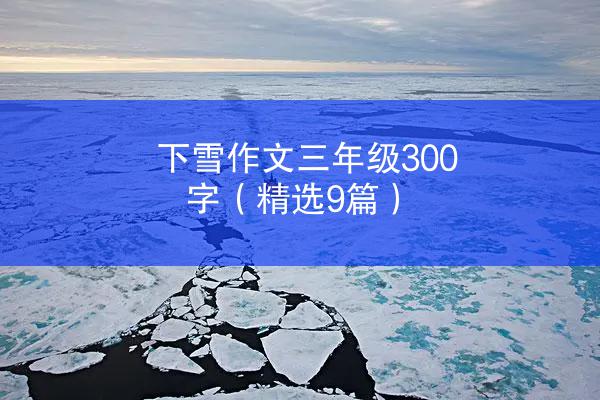 下雪作文三年级300字（精选9篇）