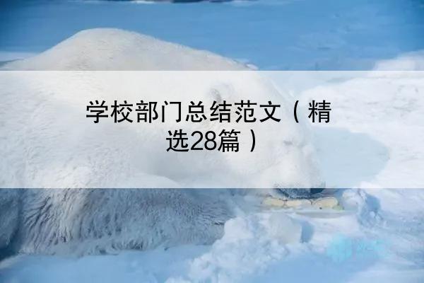 学校部门总结范文（精选28篇）