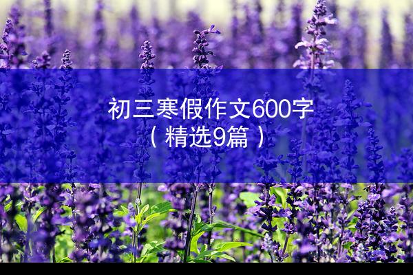 初三寒假作文600字（精选9篇）