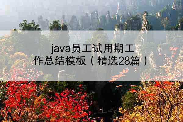 java员工试用期工作总结模板（精选28篇）