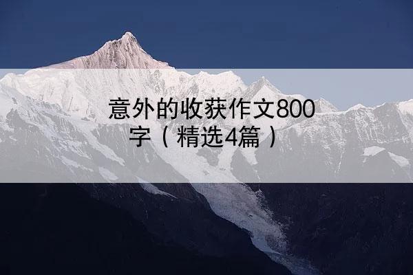 意外的收获作文800字（精选4篇）