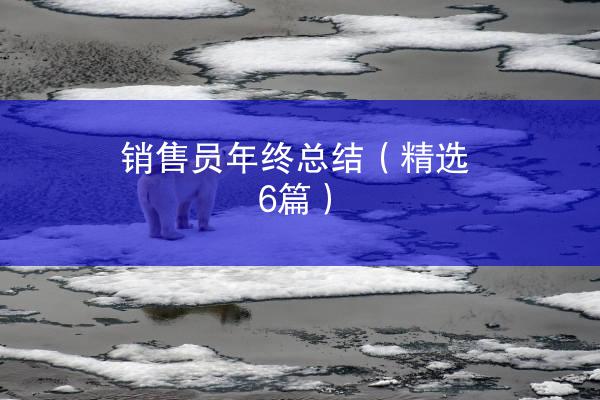 销售员年终总结（精选6篇）