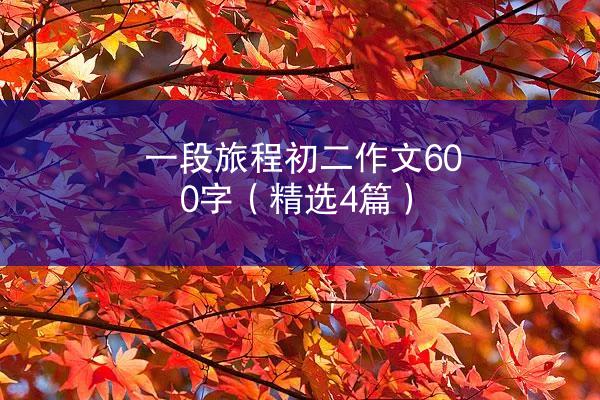 一段旅程初二作文600字（精选4篇）