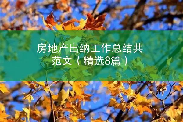 房地产出纳工作总结共范文（精选8篇）