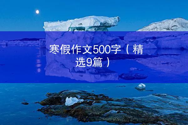 寒假作文500字（精选9篇）