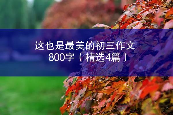 这也是最美的初三作文800字（精选4篇）