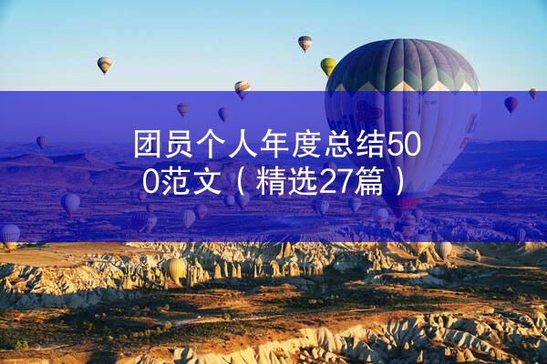 团员个人年度总结500范文（精选27篇）