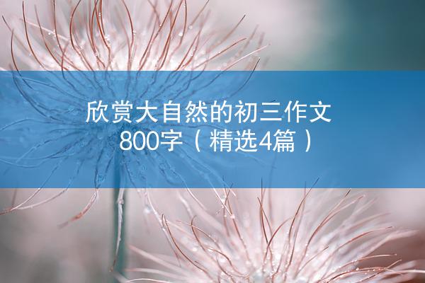 欣赏大自然的初三作文800字（精选4篇）