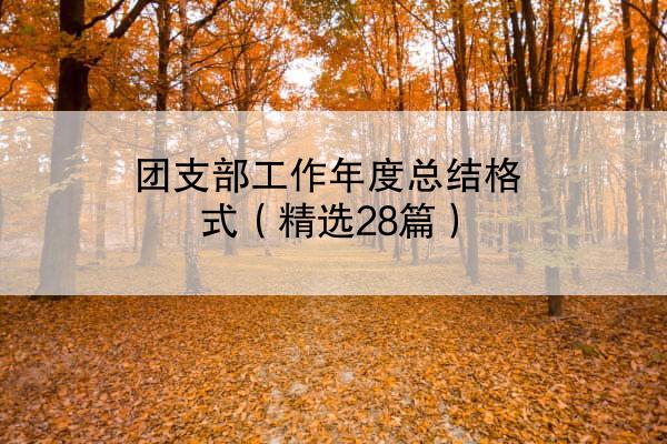 团支部工作年度总结格式（精选28篇）