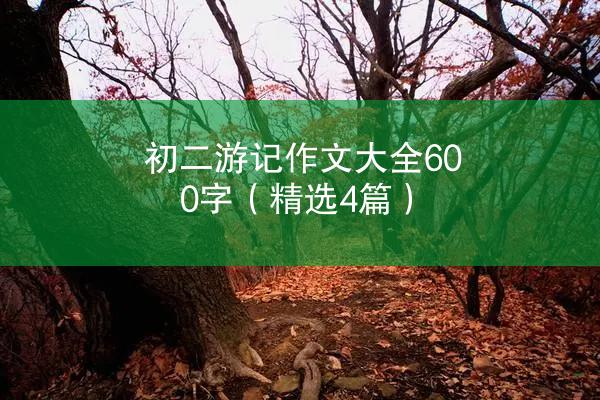 初二游记作文大全600字（精选4篇）