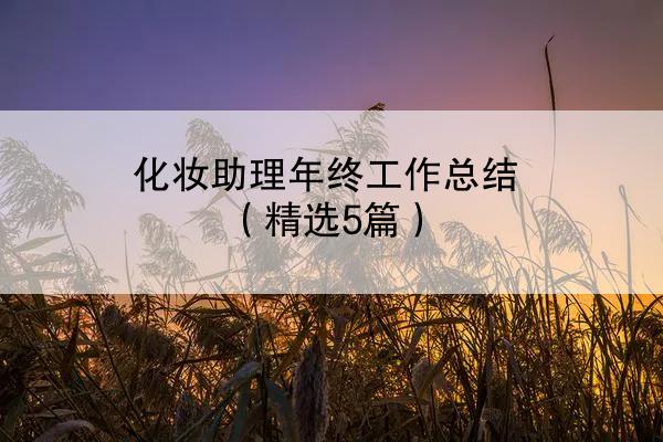 化妆助理年终工作总结（精选5篇）