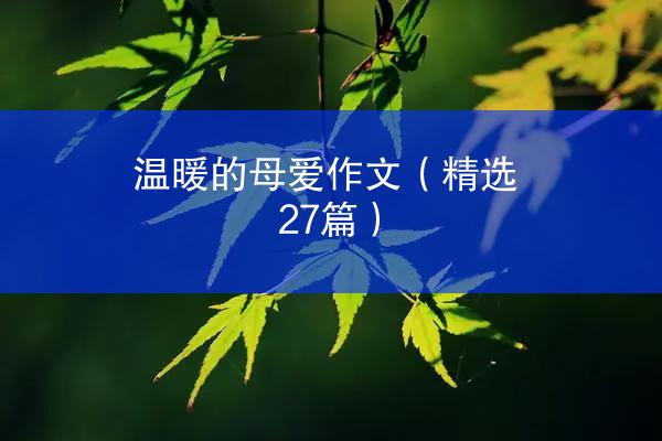 温暖的母爱作文（精选27篇）