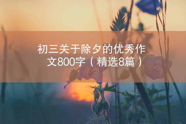 初三关于除夕的优秀作文800字（精选8篇）