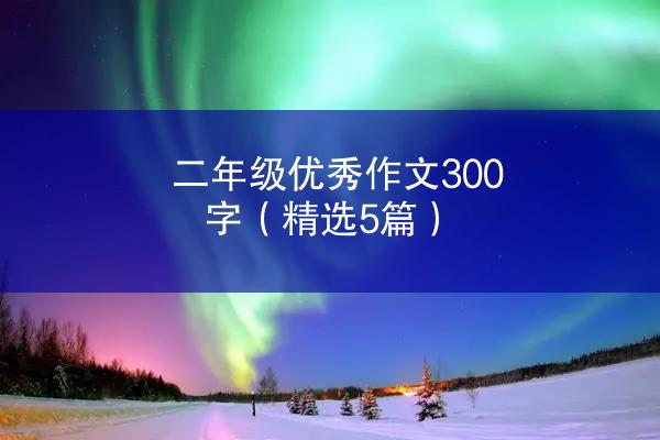 二年级优秀作文300字（精选5篇）