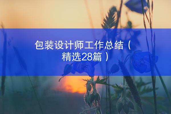 包装设计师工作总结（精选28篇）