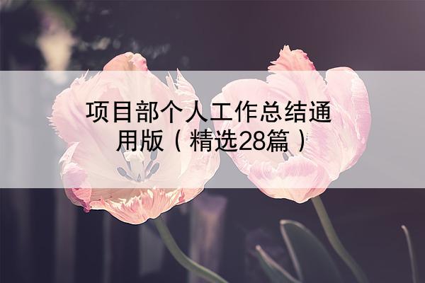 项目部个人工作总结通用版（精选28篇）