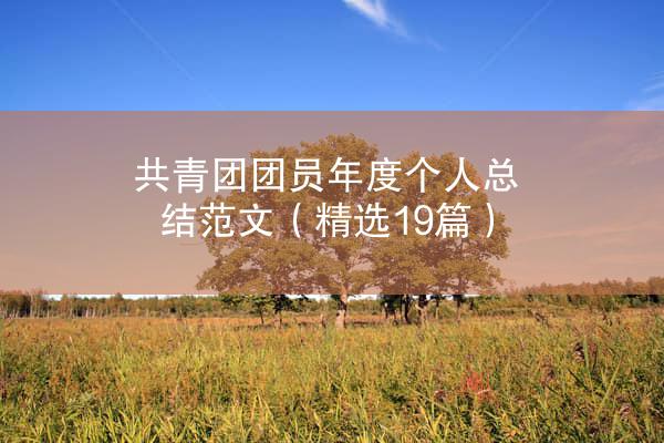 共青团团员年度个人总结范文（精选19篇）