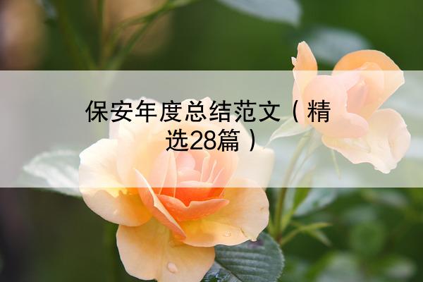 保安年度总结范文（精选28篇）