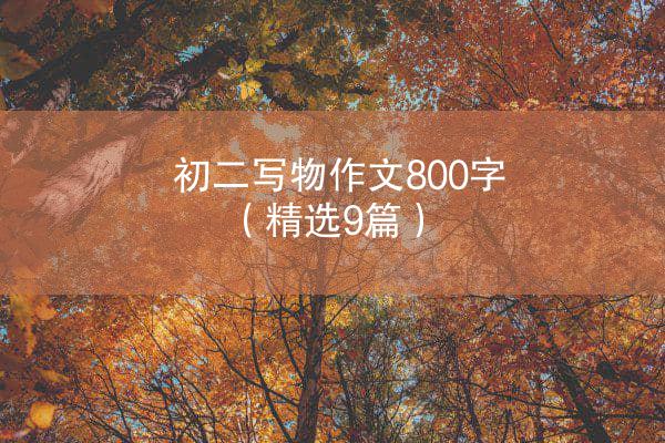 初二写物作文800字（精选9篇）