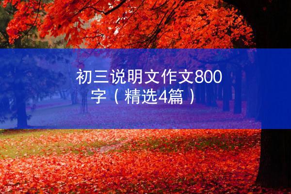 初三说明文作文800字（精选4篇）