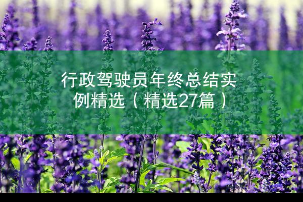 行政驾驶员年终总结实例精选（精选27篇）