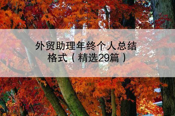 外贸助理年终个人总结格式（精选29篇）