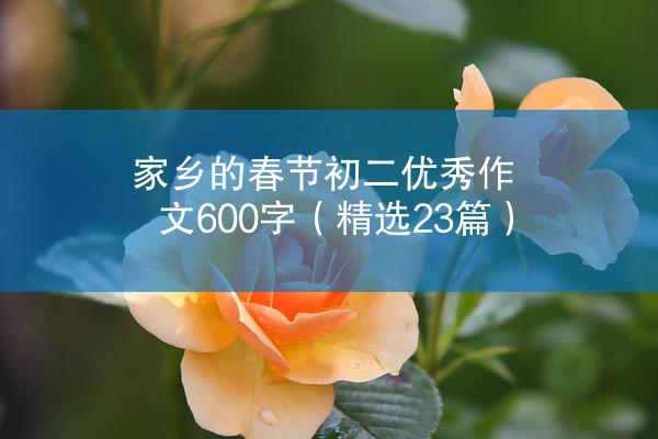 家乡的春节初二优秀作文600字（精选23篇）