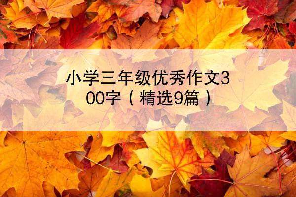 小学三年级优秀作文300字（精选9篇）