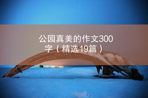 公园真美的作文300字（精选19篇）