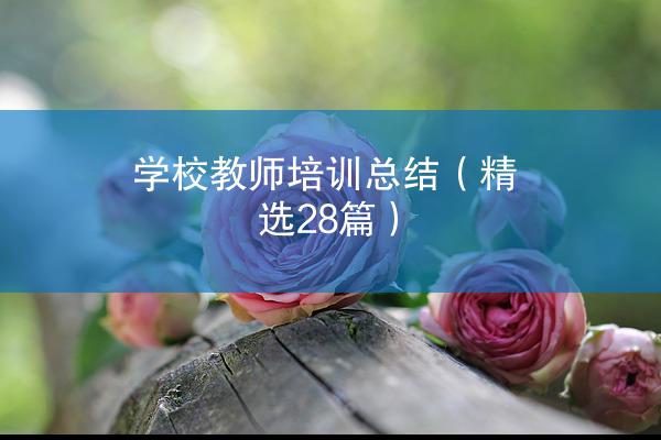 学校教师培训总结（精选28篇）