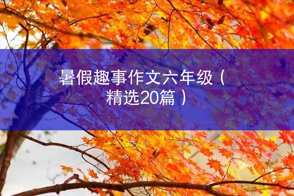 暑假趣事作文六年级（精选20篇）