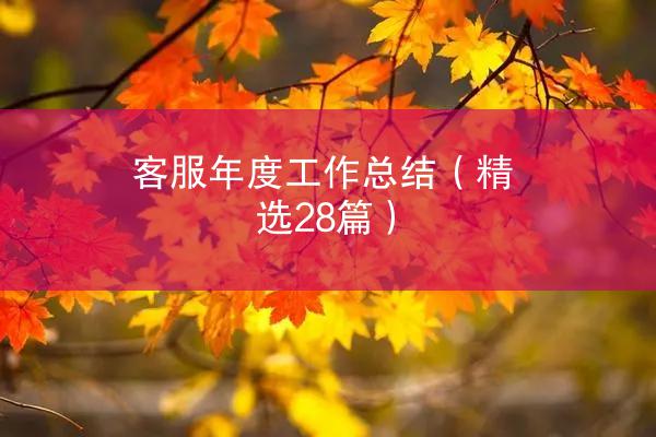 客服年度工作总结（精选28篇）