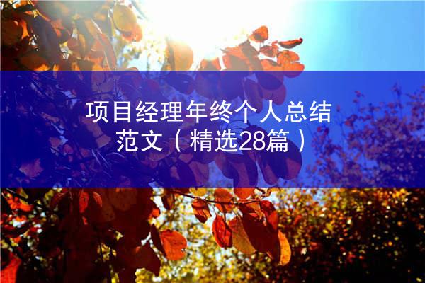 项目经理年终个人总结范文（精选28篇）