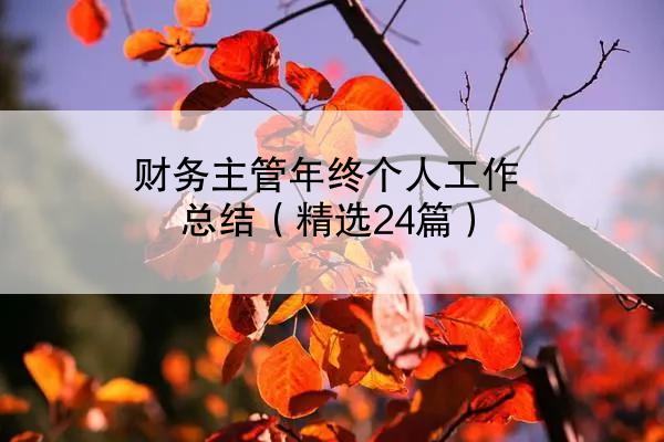 财务主管年终个人工作总结（精选24篇）