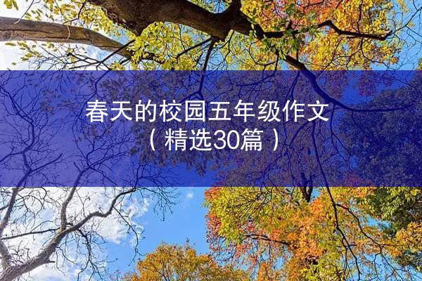 春天的校园五年级作文（精选30篇）